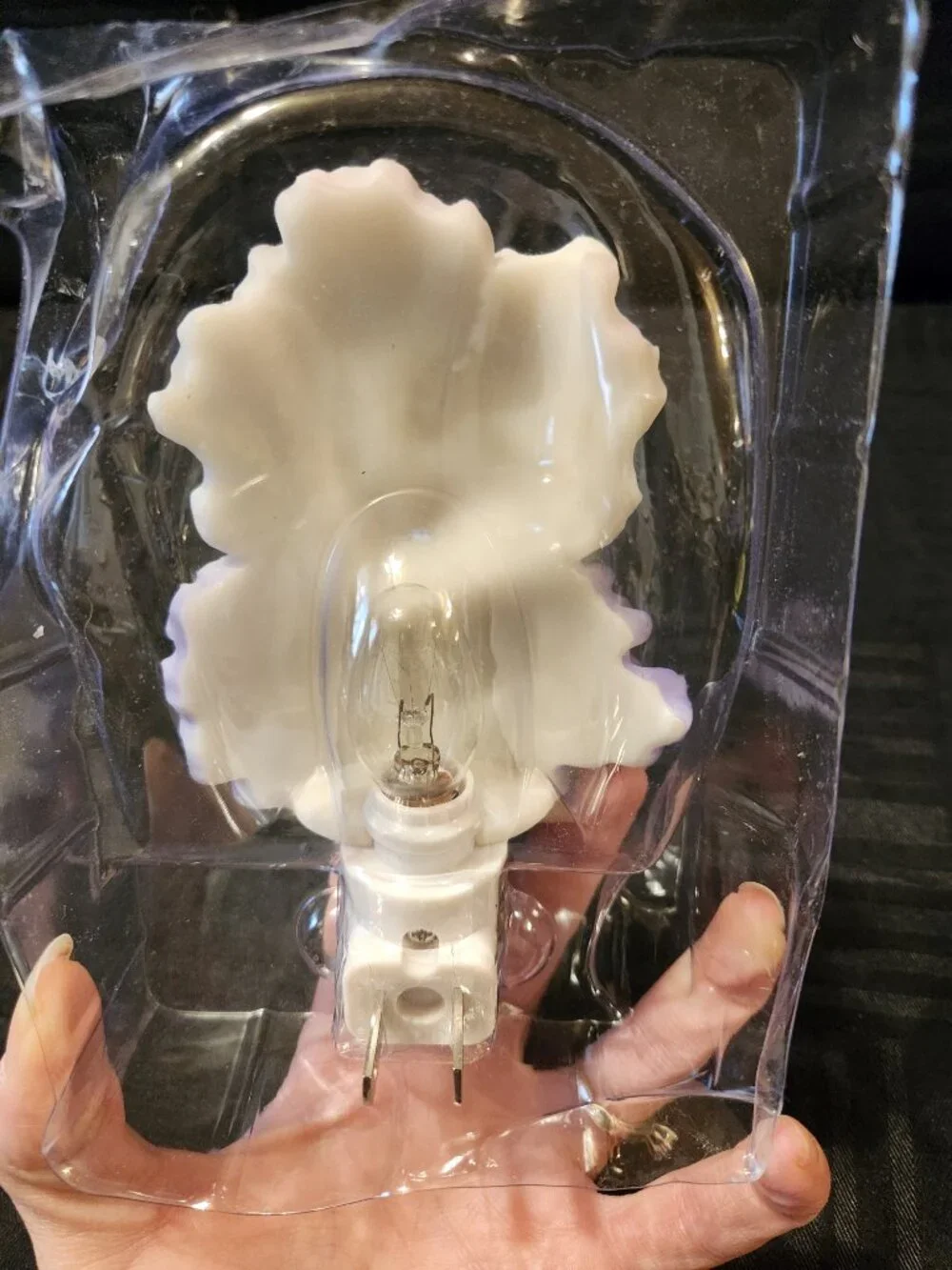 Ibis & Orchid Design Flowers of Light Iris Nightlight Hand Painted W/ Box Works